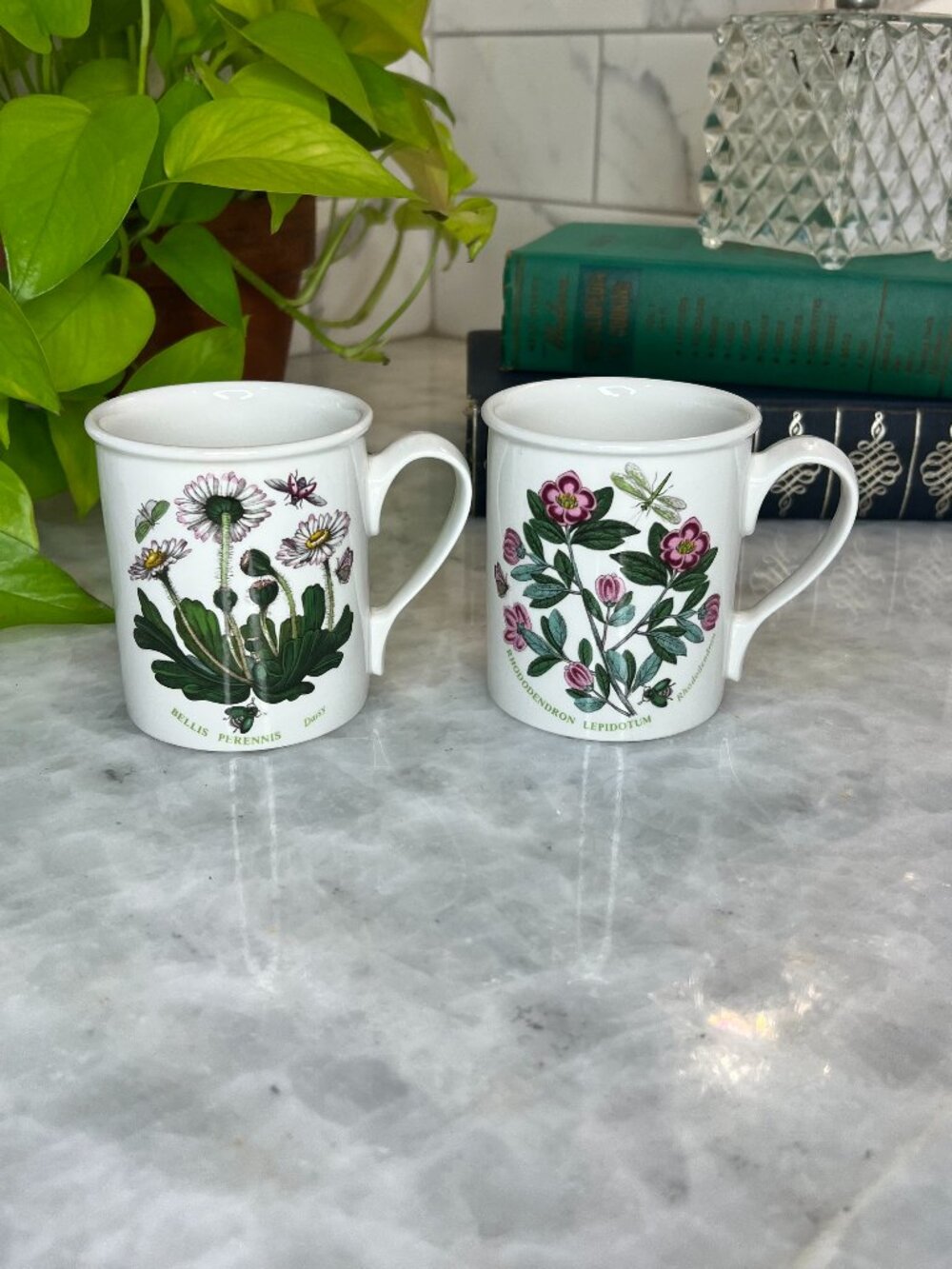 Set of 2 Portmeirion Botanic Garden Beaker English Mugs - Rhododendron & Daisy